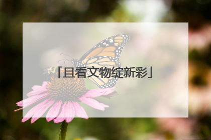 且看文物绽新彩