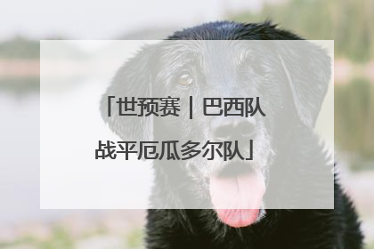 世预赛｜巴西队战平厄瓜多尔队