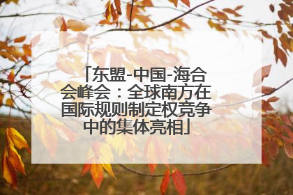 东盟-中国-海合会峰会：全球南方在国际规则制定权竞争中的集体亮相