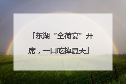 东湖“全荷宴”开席，一口吃掉夏天