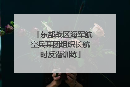 东部战区海军航空兵某团组织长航时反潜训练