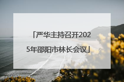 严华主持召开2025年邵阳市林长会议