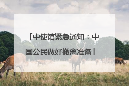 中使馆紧急通知：中国公民做好撤离准备
