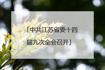 中共江苏省委十四届九次全会召开
