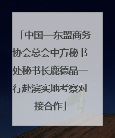 中国—东盟商务协会总会中方秘书处秘书长鹿德晶一行赴滨实地考察对接合作