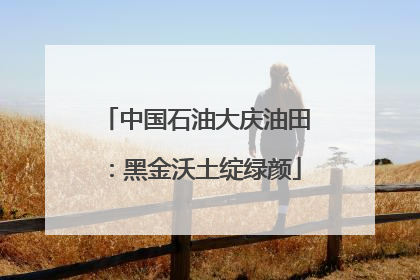 中国石油大庆油田：黑金沃土绽绿颜