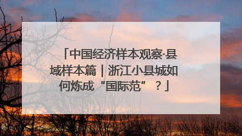 中国经济样本观察·县域样本篇｜浙江小县城如何炼成“国际范”？