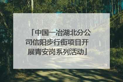 中国一冶湖北分公司信阳步行街项目开展青安岗系列活动