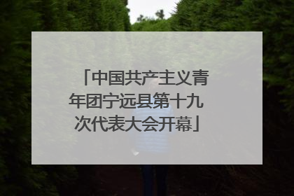 中国共产主义青年团宁远县第十九次代表大会开幕