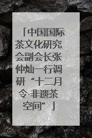 中国国际茶文化研究会副会长张仲灿一行调研“十二月令·非遗茶空间”