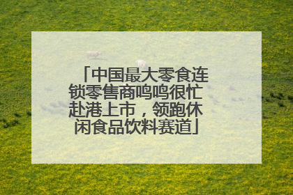 中国最大零食连锁零售商鸣鸣很忙赴港上市，领跑休闲食品饮料赛道