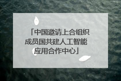 中国邀请上合组织成员国共建人工智能应用合作中心
