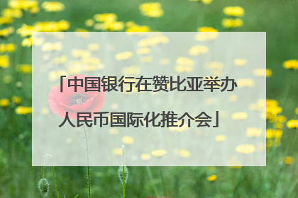 中国银行在赞比亚举办人民币国际化推介会