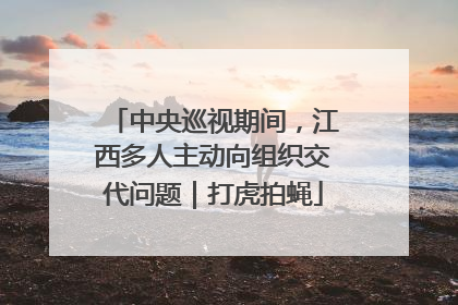中央巡视期间，江西多人主动向组织交代问题｜打虎拍蝇