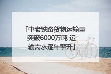 中老铁路货物运输量突破6000万吨 运输需求逐年攀升