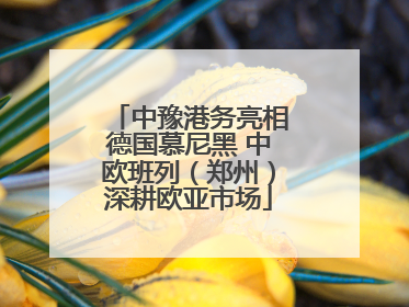 中豫港务亮相德国慕尼黑 中欧班列（郑州）深耕欧亚市场