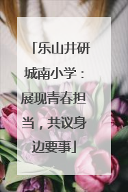乐山井研城南小学：展现青春担当，共议身边要事