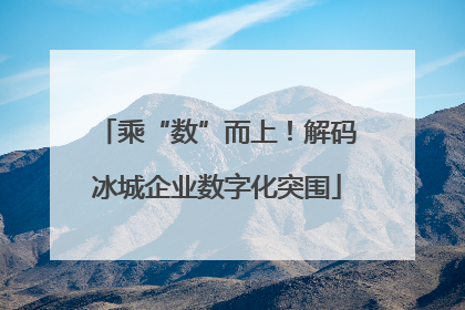乘“数”而上！解码冰城企业数字化突围
