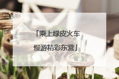 乘上绿皮火车 慢游精彩东营