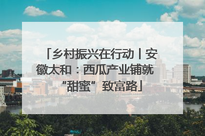 乡村振兴在行动丨安徽太和：西瓜产业铺就“甜蜜”致富路