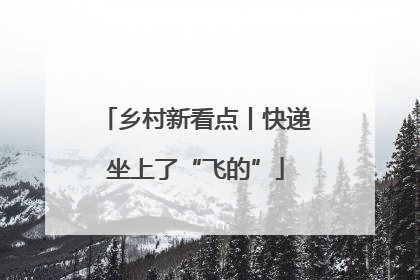 乡村新看点丨快递坐上了“飞的”