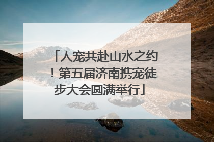 人宠共赴山水之约！第五届济南携宠徒步大会圆满举行