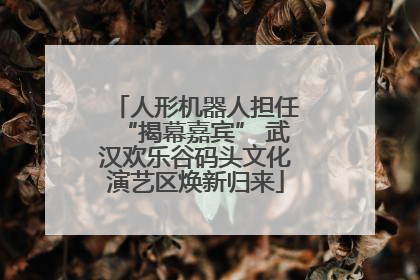 人形机器人担任“揭幕嘉宾” 武汉欢乐谷码头文化演艺区焕新归来