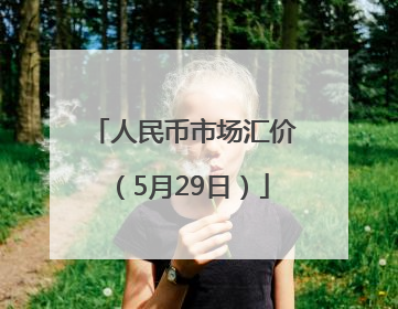 人民币市场汇价（5月29日）