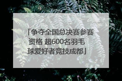 争夺全国总决赛参赛资格 超600名羽毛球爱好者竞技成都