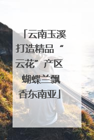 云南玉溪打造精品“云花”产区 蝴蝶兰飘香东南亚