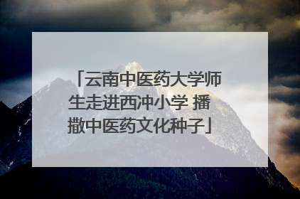 云南中医药大学师生走进西冲小学 播撒中医药文化种子