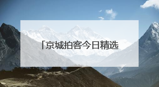 京城拍客今日精选｜蜻蜓早立尖尖角 尽赏夏荷气度华