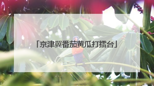 京津冀番茄黄瓜打擂台