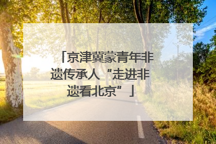京津冀蒙青年非遗传承人“走进非遗看北京”