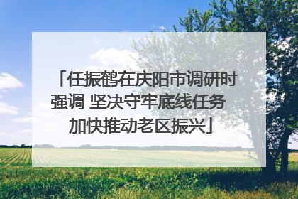 任振鹤在庆阳市调研时强调 坚决守牢底线任务 加快推动老区振兴