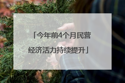 今年前4个月民营经济活力持续提升