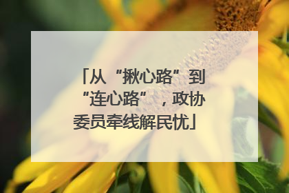 从“揪心路”到“连心路”，政协委员牵线解民忧