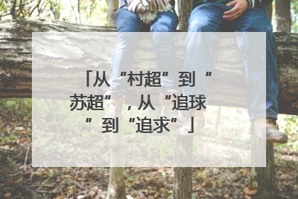 从“村超”到“苏超”，从“追球”到“追求”