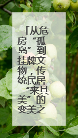 从危房“孤岛”到挂牌文物，传统民居“来其美”的变美之路