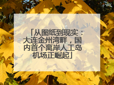 从图纸到现实：大连金州湾畔，国内首个离岸人工岛机场正崛起