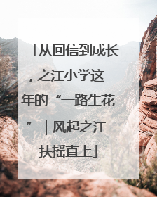 从回信到成长，之江小学这一年的“一路生花”｜风起之江 扶摇直上