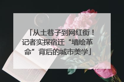 从土巷子到网红街！记者实探宿迁“墙绘革命”背后的城市美学