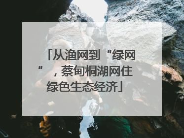 从渔网到“绿网”，蔡甸桐湖网住绿色生态经济