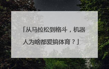 从马拉松到格斗，机器人为啥都爱搞体育？
