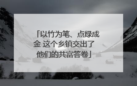 以竹为笔、点绿成金 这个乡镇交出了他们的共富答卷