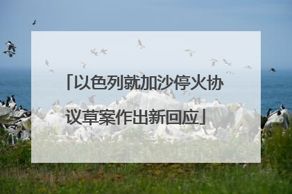 以色列就加沙停火协议草案作出新回应