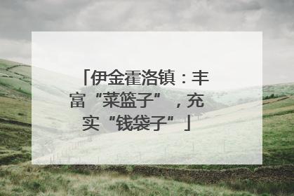 伊金霍洛镇：丰富“菜篮子”，充实“钱袋子”