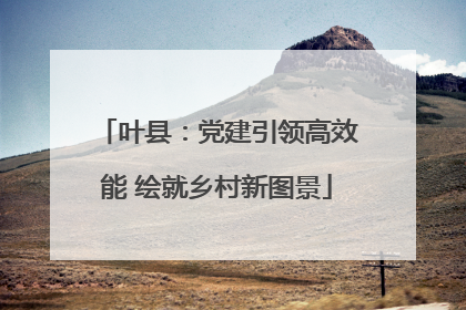 叶县：党建引领高效能 绘就乡村新图景