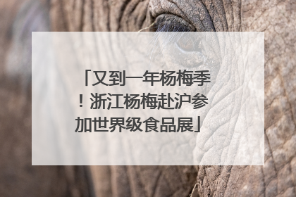 又到一年杨梅季！浙江杨梅赴沪参加世界级食品展