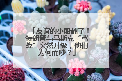 友谊的小船翻了！特朗普与马斯克“骂战”突然升级，他们为何而吵？